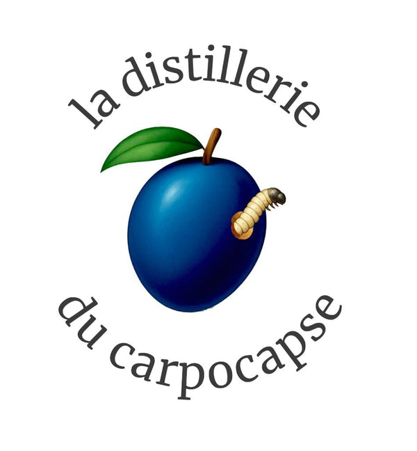 logo de la distillerie du carpocapse - liqueurs et bougies artisanales belge