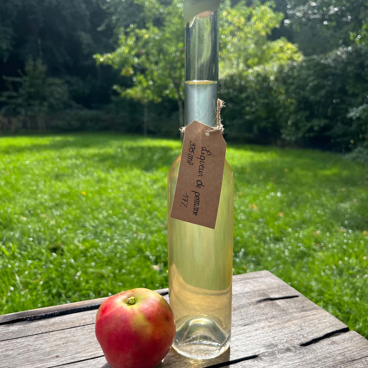 Liqueur de pomme 375ml - 17%