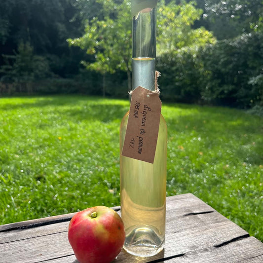Liqueur de pomme 375ml - 17%