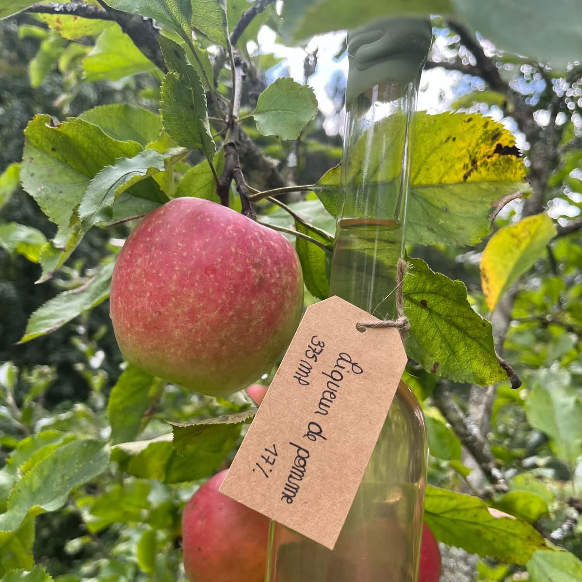 Liqueur de pomme 375ml - 17%